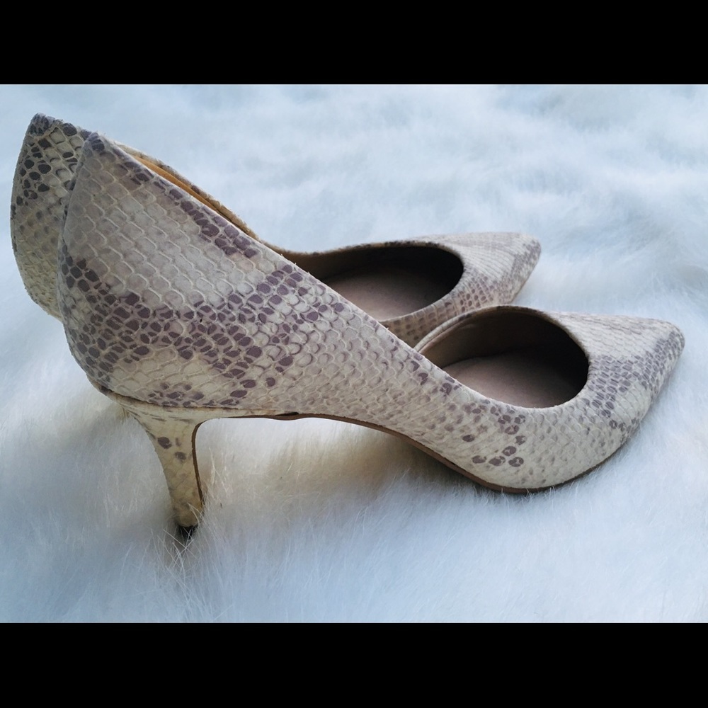 Ann Taylor 6.5 Snakeskin Print Heels